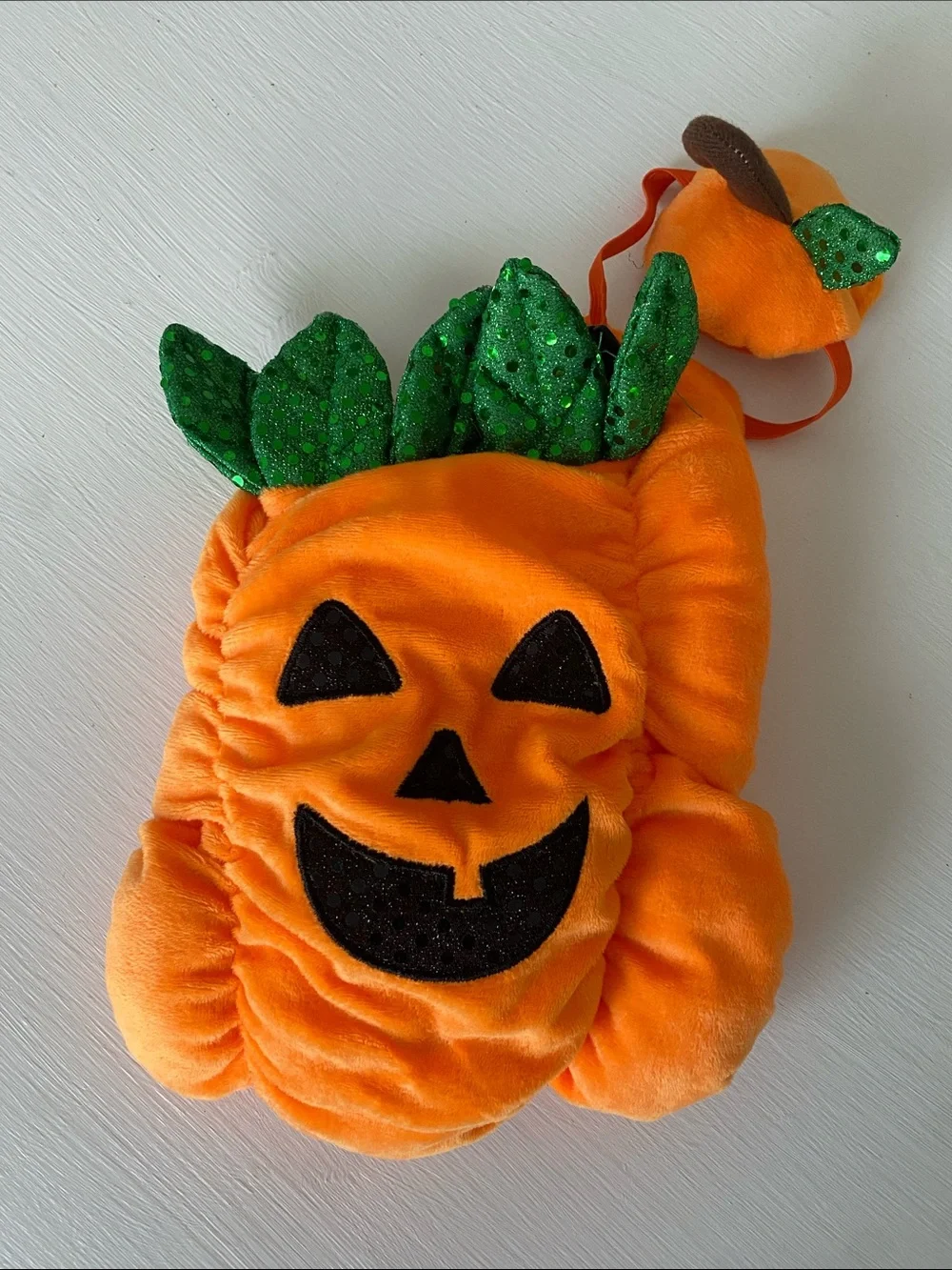 Small Dog Orange Pumpkin Costume with Green Leaf Accent & Hat